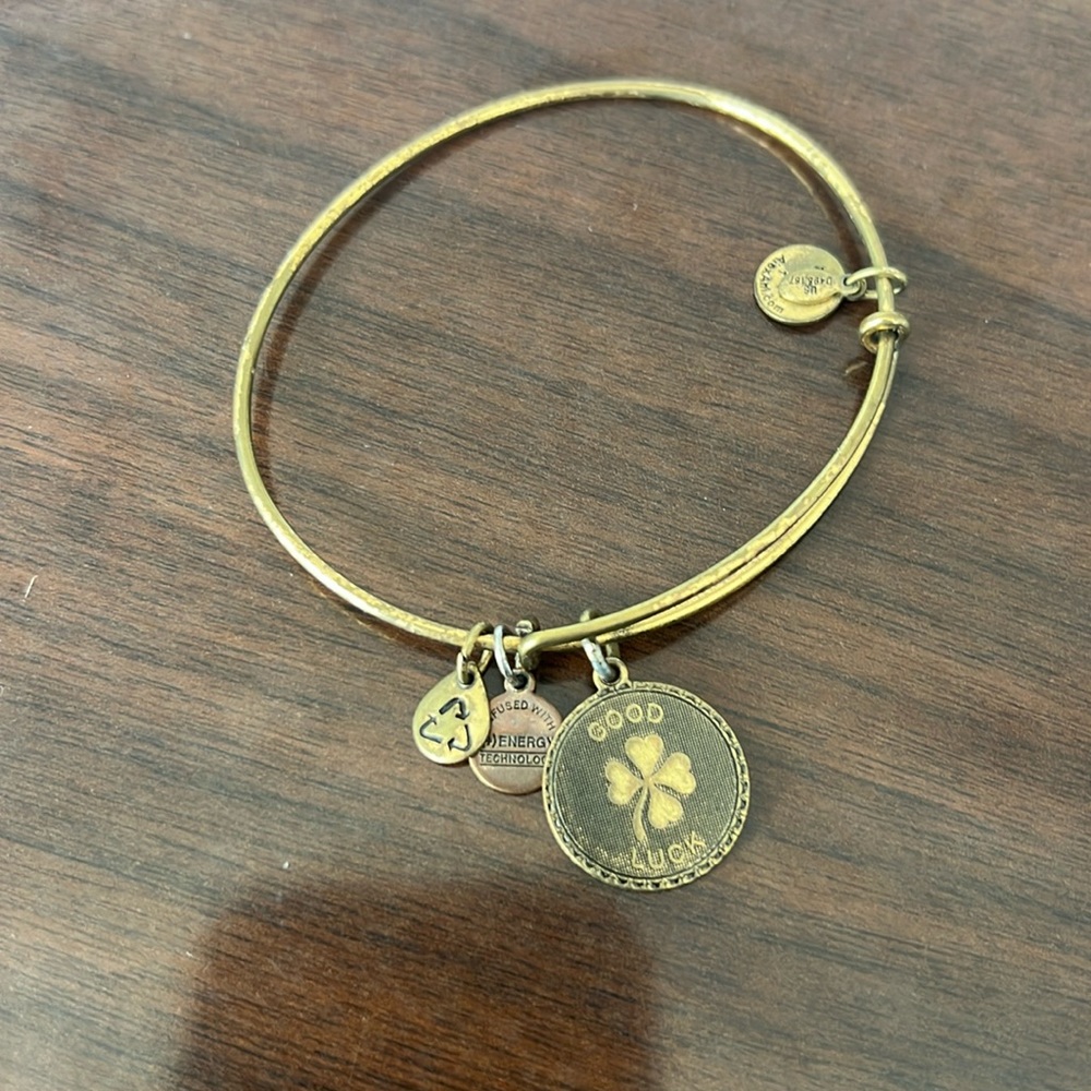 ALEX AND ANI Good Luck bangle - gold